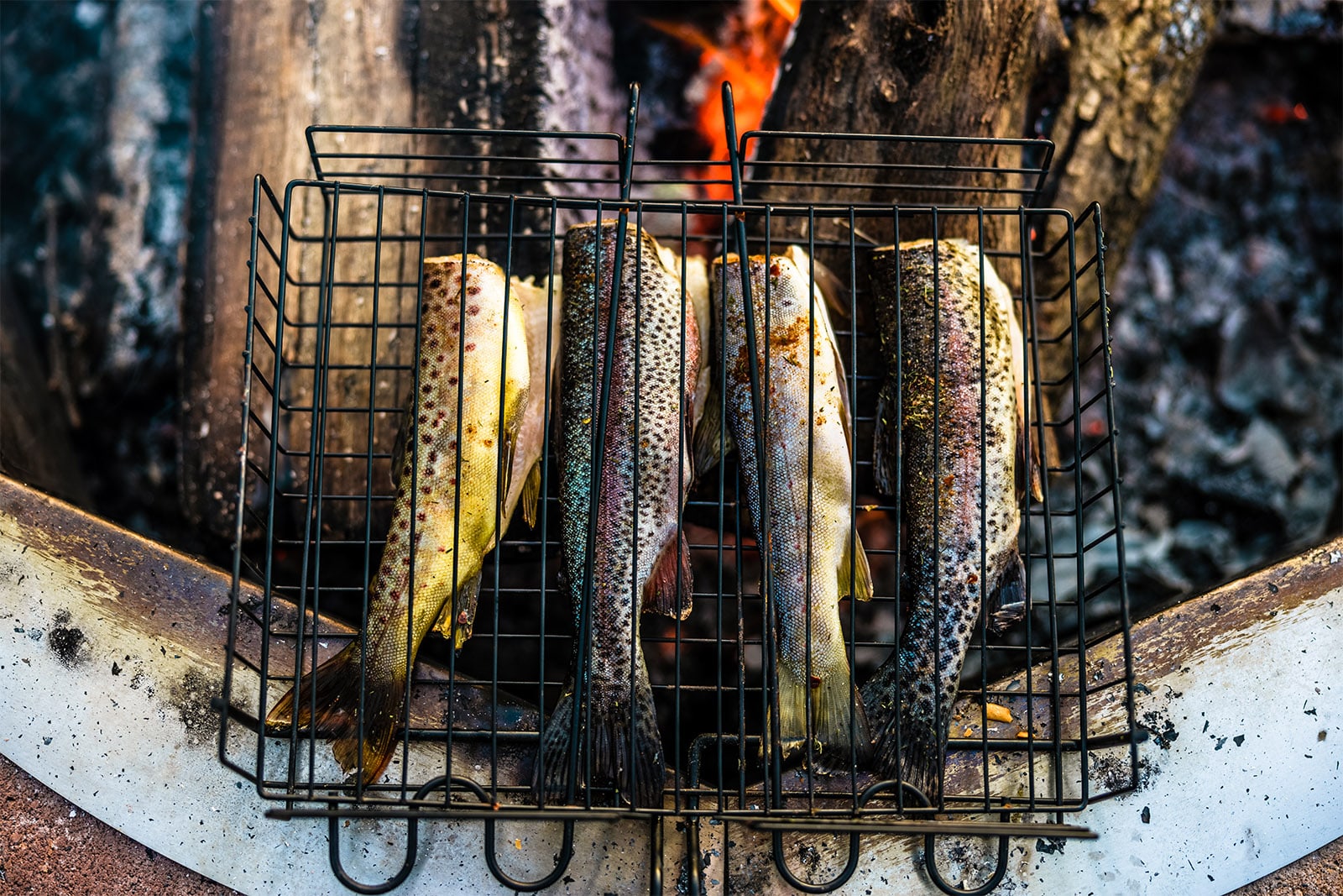 fish cooking over fire