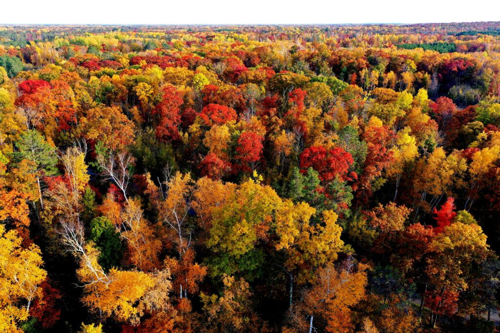 Fall Outdoor Adventure in WALA county