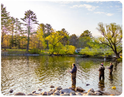 Fishing on the whitefish chain of lakes